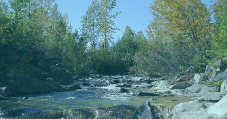 Flowing shallow rocky stream rippling over smooth stones in wooded valley, with shrubs and trees