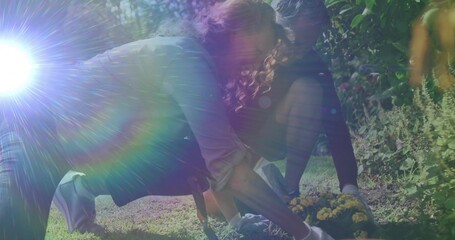 Planting couple crouching in backyard garden in sunlight, with gardening gloves and yellow blooms