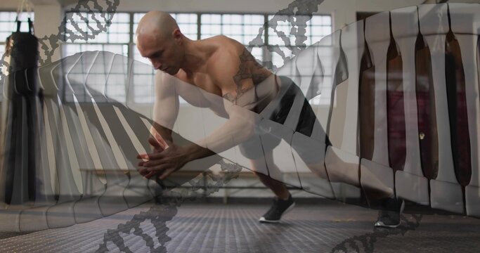 Lunging shirtless man balancing on one leg in fitness studio, with punching bag and padded targets - Powered by Adobe