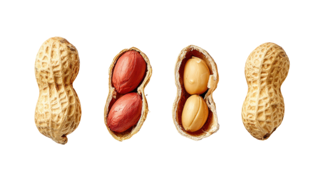 Four peanuts, two whole and two halved, displayed against a black background.  The halved peanuts reveal the reddish-brown inner nut.  A slight outline highlights each peanut
