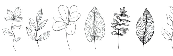 Monochrome botanical illustrations of various leaves and blossoms