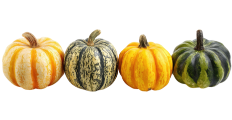 Four small decorative gourds in a row, showcasing a variety of colors and patterns.  Each gourd has a stem and is a different color combination of orange, yellow, green, and black/grey