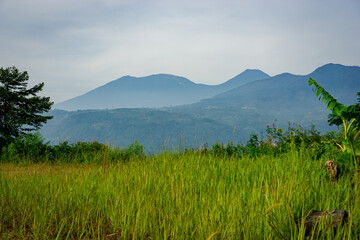 Fototapeta premium Green grassland with mountain ranges in the distance under a cloudy sky.