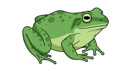 Obraz premium Cartoon Illustration of a Green Frog with Detailed Features and Realistic Proportions on a White Background ready for use in many creative designs