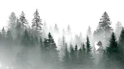 Abstract winter forest reflection on water isolated on transparent background