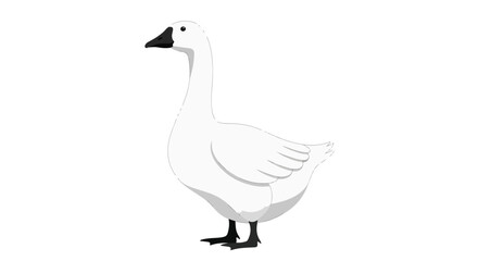 Graceful White Goose Illustration Standing Calmly on a Plain Backdrop Simplicity and Serenity Expressed Through a Minimalist Animal Portrayal