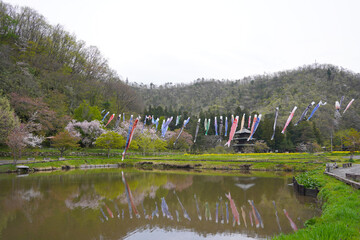 鯉のぼりと三重塔（山形県まほろば古の里歴史公園）/Japanese three stories pagoda with Japanese carp-shaped streamer【