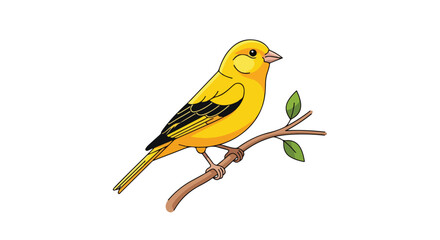 Vibrant canary perched gracefully on a branch, showcasing its bright yellow plumage against a clean white backdrop creating a pleasing visual