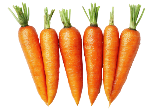 Five fresh carrots arranged in a W shape,  with green tops