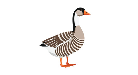 Stylized illustration of a white fronted goose showcasing its distinctive plumage and serene posture with clean design and vector graphics