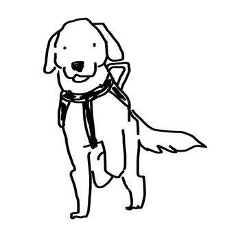 盲導犬