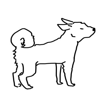 猟犬
