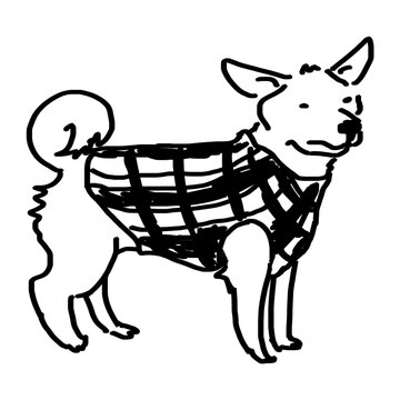 犬の洋服
