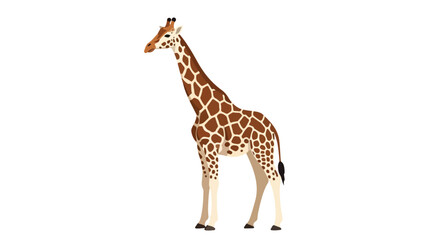 Obraz premium A cartoon giraffe with its long neck and brown and tan spots, presented on a white background in a minimalist illustration style