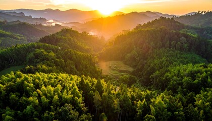 Fototapeta premium Lush valley at sunrise