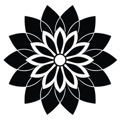 lotus flower isolated on white background