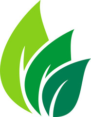 green leaf abstract beauty logo