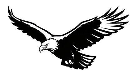 Fototapeta premium Eagle in flight silhouette