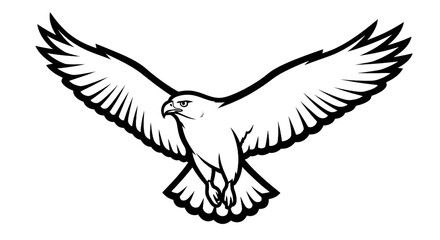 Obraz premium Hawk silhouette flying