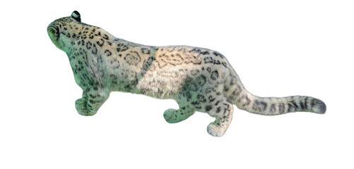 Snow Leopard (Panthera uncia) Isolated on a White Background with Copy Text Space. Majestic Big Cat Element for Wildlife Posters, Conservation Themes, and Nature-Inspired Designs. PNG File