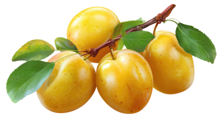 Close-up of three yellow plums on a branch with leaves