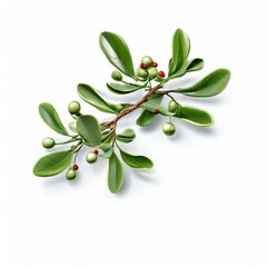 an AI Image Generator, Botanical Illustration of Green Branch