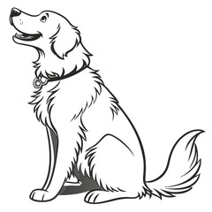 A happy friendly golden retriever dog sits patiently looking upwards with its mouth open in a smile wearing a collar with a tag presented as a clean black and white line art illustration