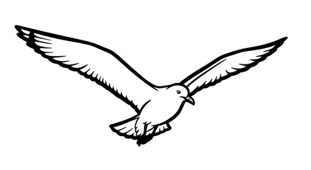 White seagull flying outline