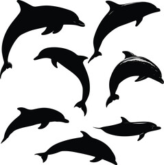 Fototapeta premium Collection of diverse dolphin silhouettes isolated on white background