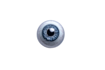 a close up of a blue eye with a white background