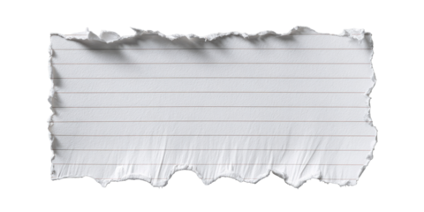 A piece of torn lined paper