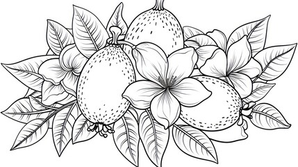 Ornamental tropical fruits and flowers