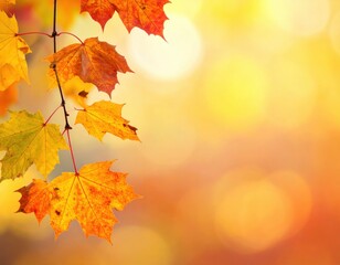 Fototapeta premium Colorful autumn leaves arranged on a light background showcasing seasonal beauty