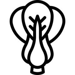 Bok Choy Fresh Icon