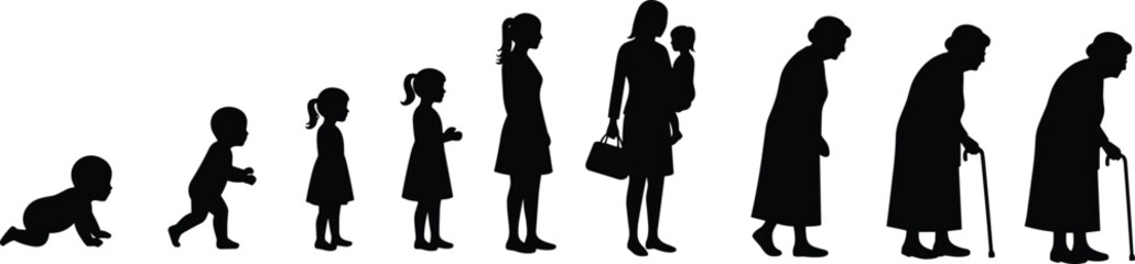 Vector Illustration of Female Life Stages Silhouette from Infant to Elderly Woman Depicting Growth, Aging, and Human Development Timeline