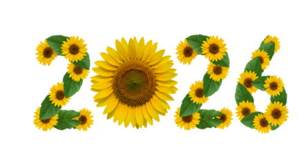 2026 made from vibrant yellow sunflowers with green leaves on transparent background, perfect for seasonal or calendar designs