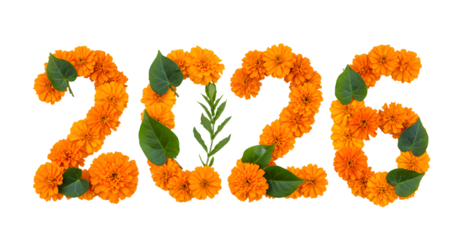 2026 formed with orange marigold flowers and green leaves on white background, floral number decoration perfect for New Year and spring celebrations