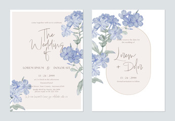 Wedding invitation and save the date template set with a minimalist design and soft, watercolor illustrations of Cape leadwort flowers and grayish-green leaves on a pale pink background