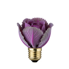 Creative concept of a purple cabbage blossoming from a golden lightbulb, innovative idea