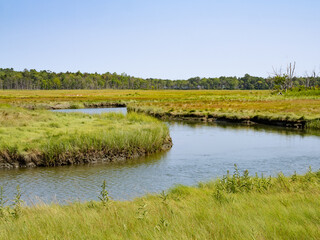 Little River Winding through the Marshland of Rachel Carson National Wildlife Reserve in Maine