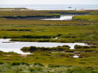 Impressionistic Photograph of a River and Marsh with the Atlantic Ocean in the Background