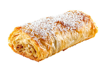 a pastry with powdered sugar on top