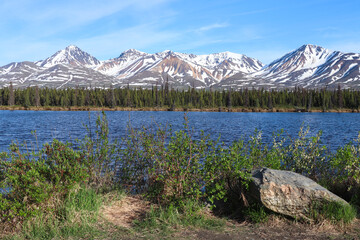 View of Alaska Range