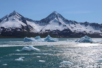Icebergs in Resurrection Bay