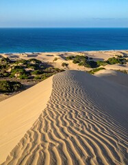 Coastal sand dune overlooking turquoise ocean