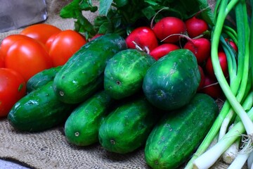 Fresh vegetables radish cucumber tomatoes
