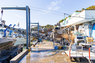 牡蠣の水揚げ風景