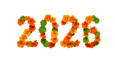 2026 numbers made with orange flowers and green leaves isolated on white background, perfect for spring and summer design projects