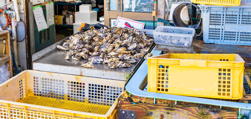 牡蠣の水揚げ直売所