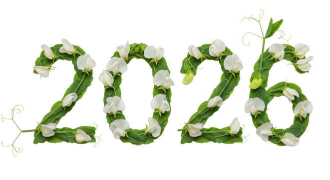 Fresh green leaves and white flowers shaped as 2026 numbers, natural plant typography perfect for eco or nature projects